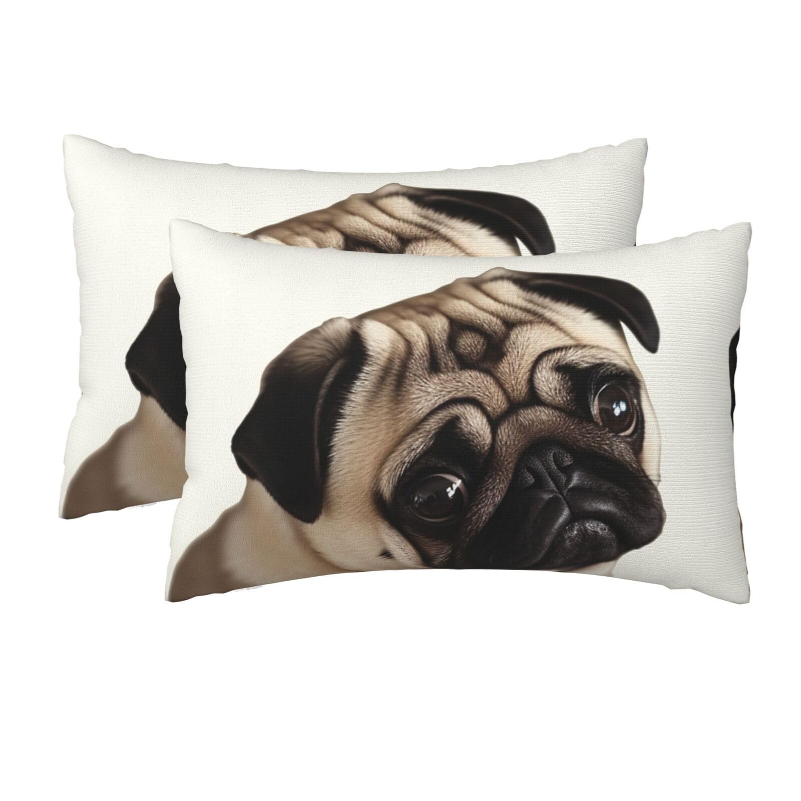2 Pack Queen Pillow Cases with Hidden Zipper, Soft Breathable Pillow Covers for Hair and Skin, Pug Dog Pillowcases 20"x30" Bed Pillow Protectors Cover for Sleeping Gifts