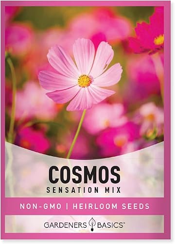 Cosmos Seeds para plantar flores (mezcla de sensación) - Semillas de flores cosmo rosadas, polinizadas abiertas, sin OMG, ideales para jardines de
