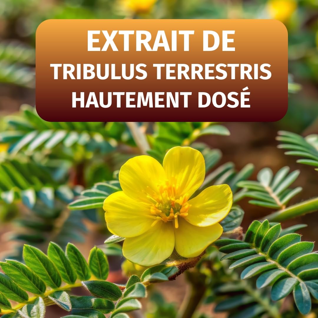 Green Naturals® Tribulus Terrestris – Hautement dosé 2 250 mg avec 90% de saponines – Qualité allemande – Cure 2 mois – 180 gélules | 10:1 par dose journalière · 90 % de saponines · 180 gélules · Stock de 2 mois · Testé en laboratoire