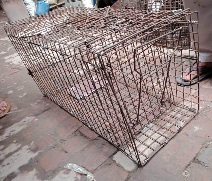 Monkey Trap Cages *Birds Park* (B0CFW4L3GX) Amazon Price History, Amazon Price Tracker