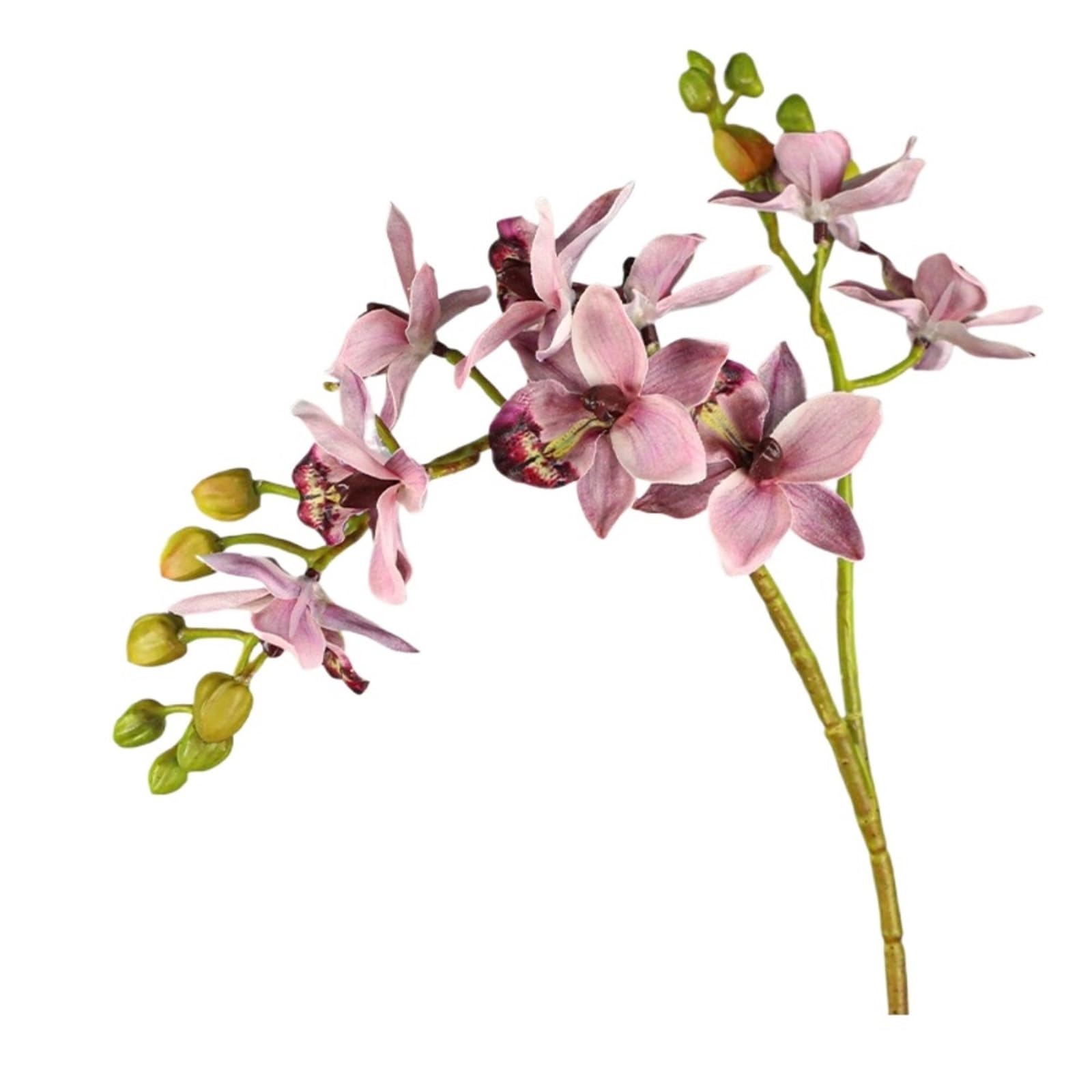 LSYHHXC Artificial Orchid 2 Fork Artificial Phalaenopsis Branches Realistic Handmade Fake Flowers Real Touch Butterfly Orchid Flower