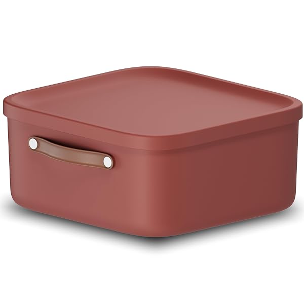 Rotho Maloja Scatola di stoccaggio 20 l, Plastica (PP riciclato), 20 (39.5 x 38.0 x 17.7 cm)