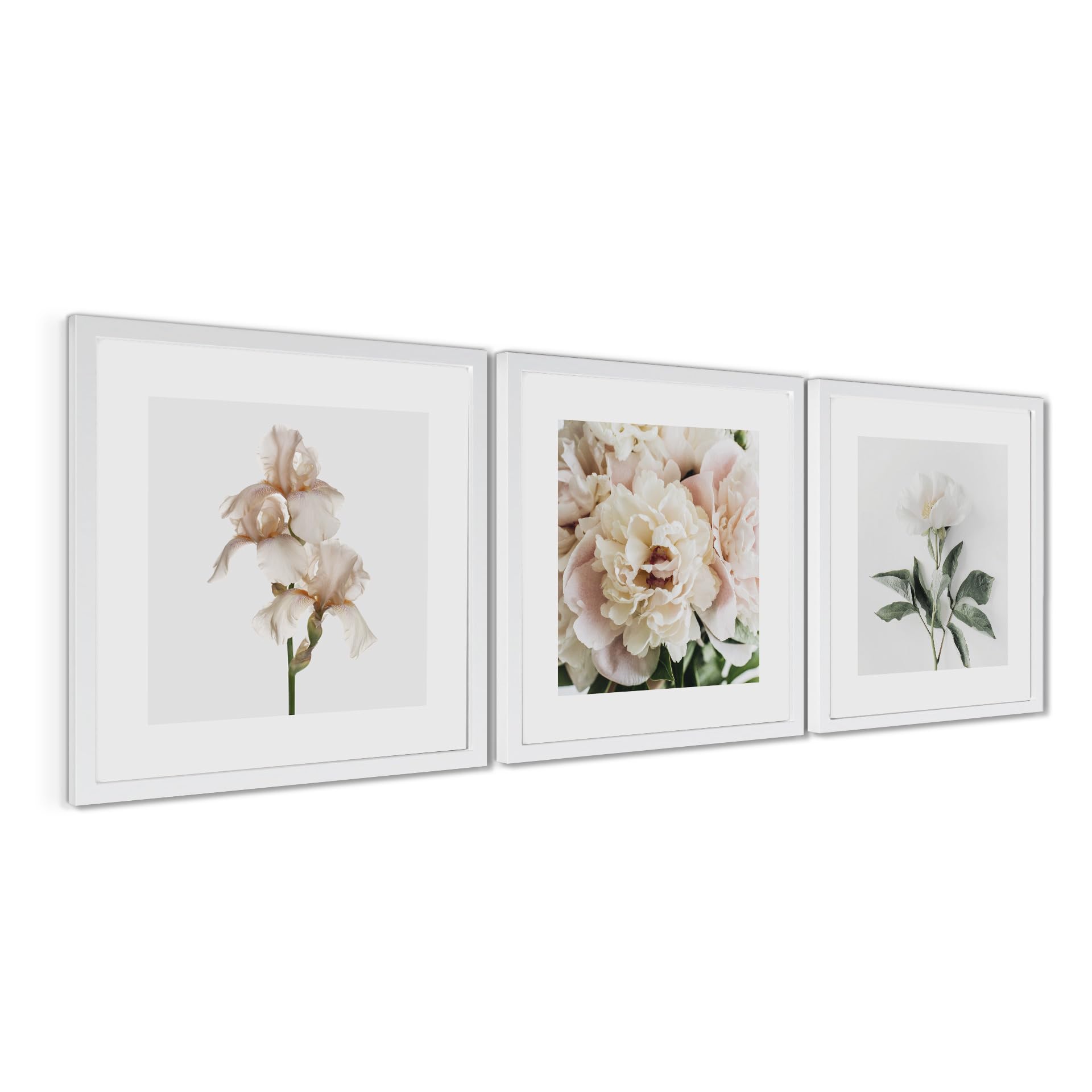 STYLER Zestaw obrazów Posy 3 x 30 x 30 cm (gotowy do zawieszenia) z wysokiej jakości białą drewnianą ramą – delikatne motywy kwiatowe do Twojego domu – beżowe, kremowe, naturalne, minimalistyczne