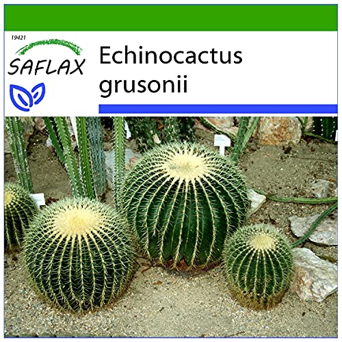 Si consiglia l’utilizzo di substrato di fibra di cocco asettico e traspirante per una buona riuscita della coltivazione.