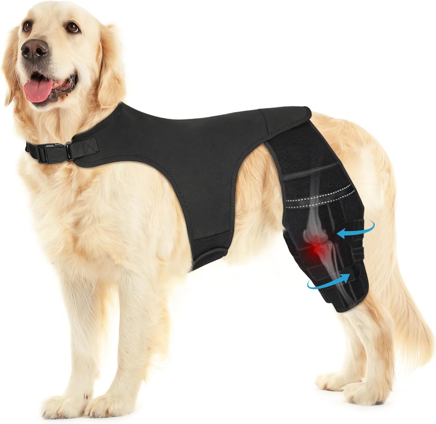 Dog Knee Brace for Torn ACL Hind Leg, Adjustable Dog Leg Braces for Back Leg with 4 Metal Stabilizers Helps with Torn CCL, Luxating Patella, Ligament Injuries, Hip Dysplasia,XL