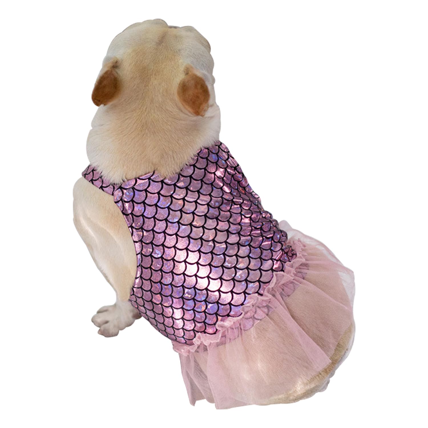 Pink Tulle Tutu Dress For Small Dogs – French Bulldog, Pug, Corgi Summer Princess Dress With Jacquard Mesh Skirt