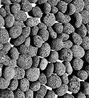 Lava Rock. 1 to 2 inch - 10 lbs. Tumbled Black/Gray Natural Lava Pebbles. for Outdoor Gas Fire Pits and for Decorative Landscaping Applications