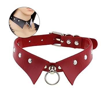 (新品未使用)クリストフル 首輪 プレゼント◎ PERFETTO COLLAR 本革製付け襟風首輪 – pawdea