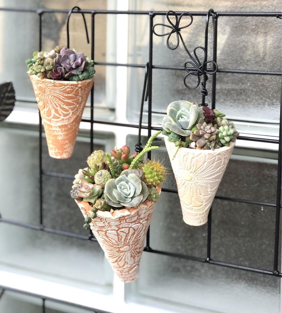 アイスクリームコーン型花器 多肉植物に最適 Amazon.co.jp: アイスコーン鉢（3個セット）多肉の寄せ植え用 : ホビー