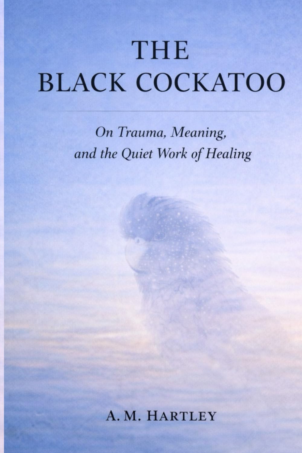 The Black Cockatoo: On Trauma, Meaning, and the Quiet Work of Healing