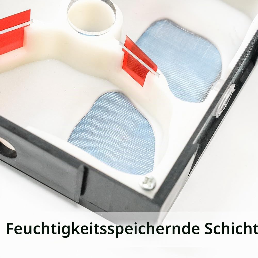 Ameisenfarm Habitat transparentes Acryl-Beobachtungsterrarium Nest mit Aktivitätskammer für Anfänger Ameisenhalter