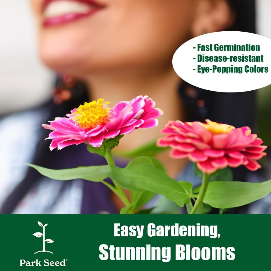 Miniatura 4 de Park Seed Semillas para Plantar Flores de Zinnia, Fáciles de Cultivar, Perfectas para Jardín de Primavera, Zinderella Red, Paquete de 25