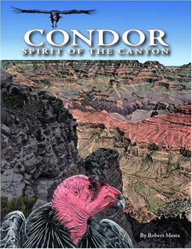 Condor: Spirit of the Canyon Condor: Spirit of the Canyon