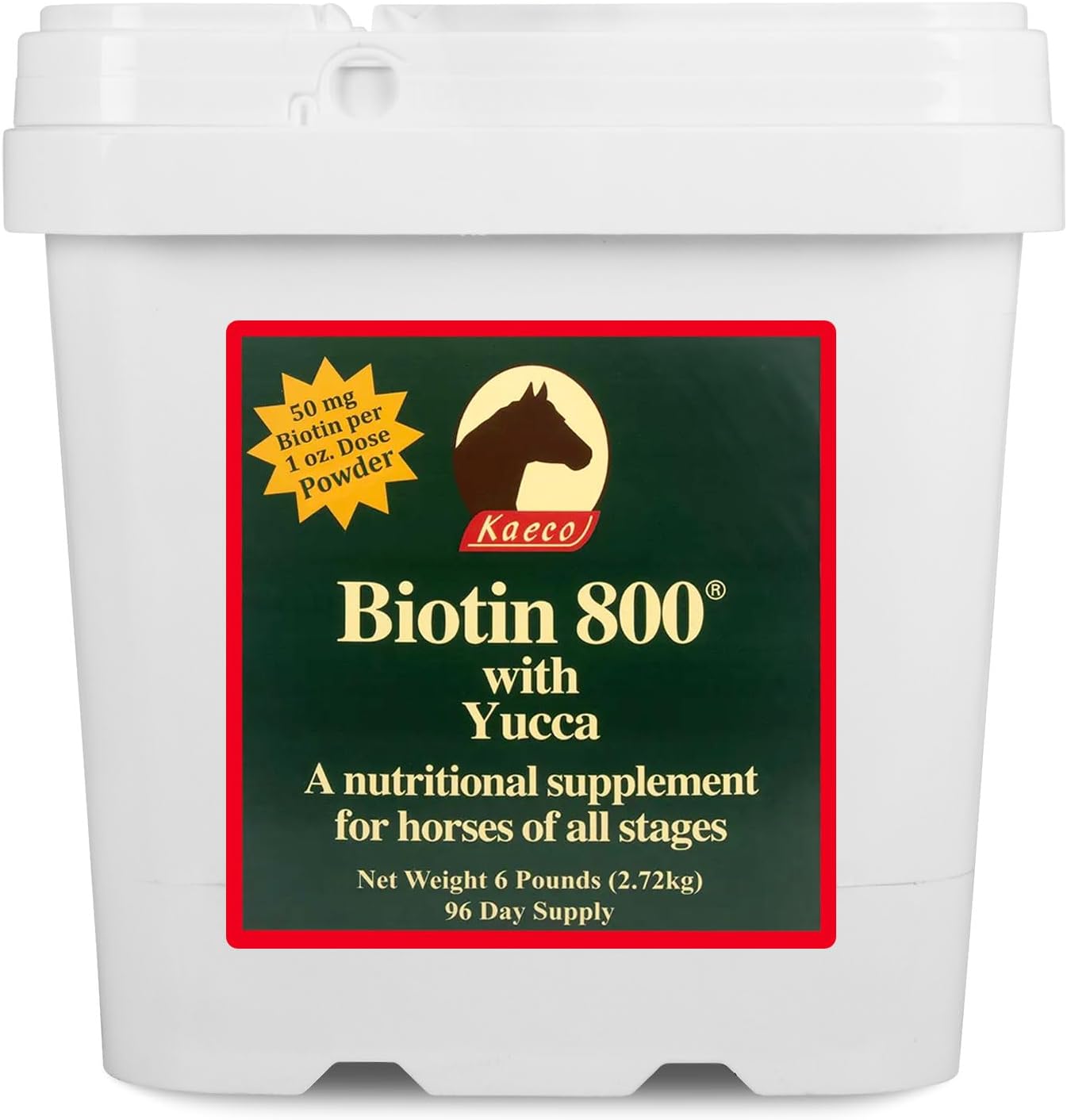 BIOTIN 800 Powder 6LB D/S