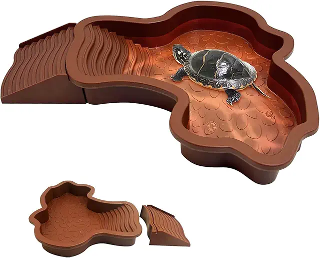 Piscine pour Tortue Terrestre avec Rampe Détachable - Kit Terrarium Complet