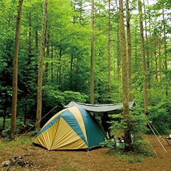 パラウエット 防水液 18リットル Amazon | TEMPO パラウェット防水液 ハケとコップ3点セット