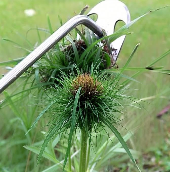 Tragbarer Hand-Unkrautstecher, Unkrautzieher, Bagger, Rechen, Gartenhacken,Unkrautbekämpfungswerkzeuge