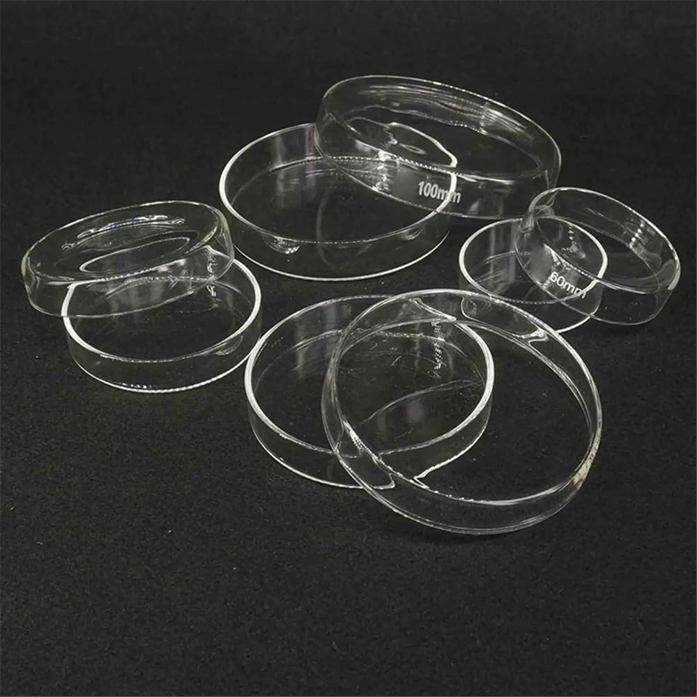 Laborausstattung und -bedarf 75/90/100/120/150/180/200mm Mit Deckel Glas Klar Steril Instrument Kultur