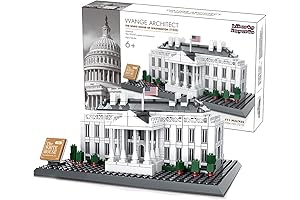 White House Building Blocks Masterpiece