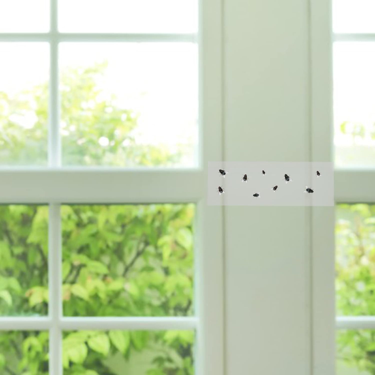 Fosforlu Yapışkanlı Şeffaf Kokusuz Haşere Sinek Kapanı Şerit Bandı 215 mm x 125 mm 10'lu Paket