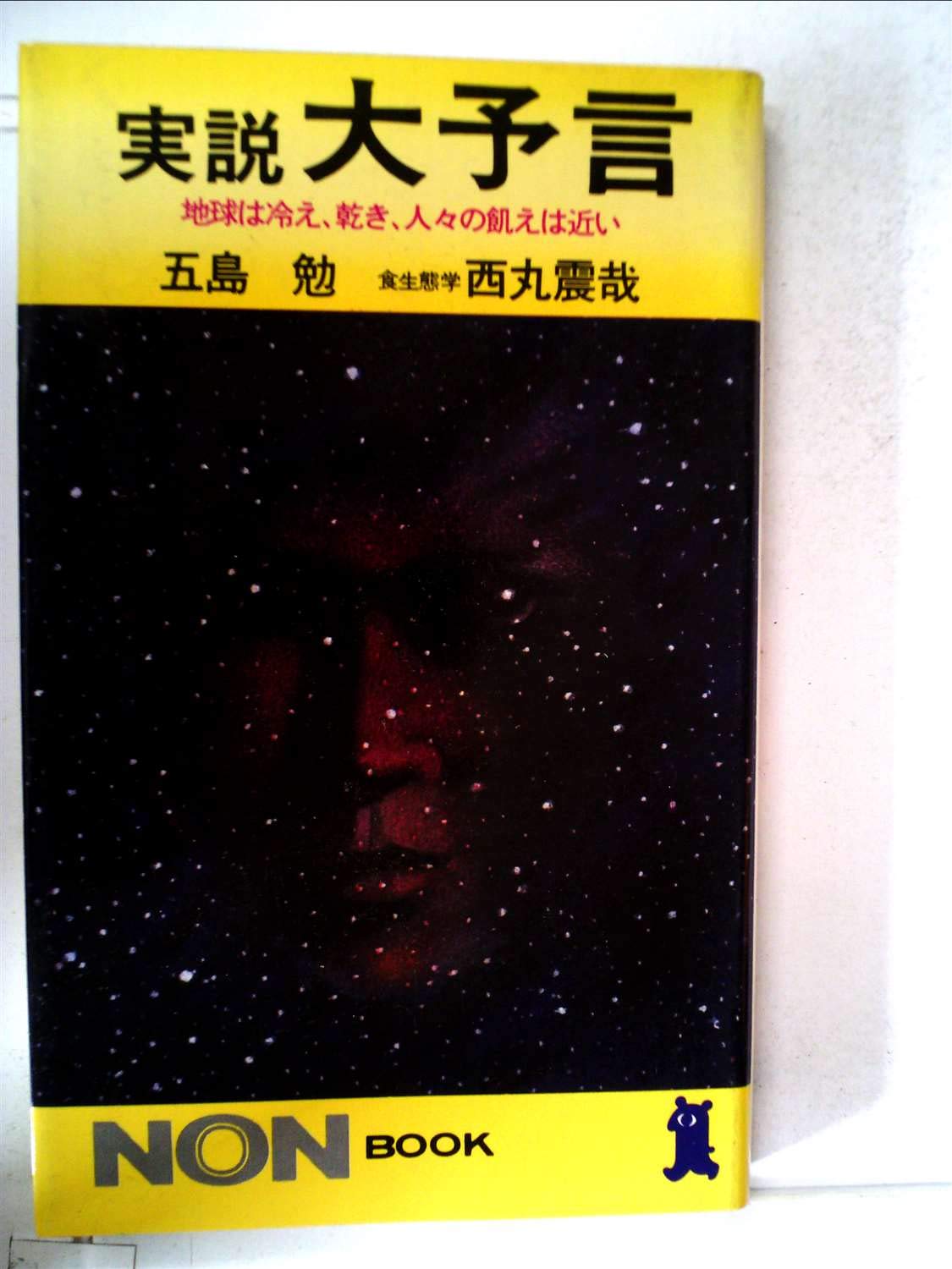 活動歴および当時の関連ビジュアル記録