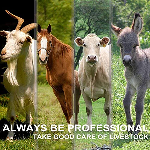 JYCCH Professionele krachtige paardenschaarmachine, onderhoudsset, 690 W krachtige huisdierenschaar, extreem krachtige verzorgingsmachine, voor paarden en lama - Afbeelding 8