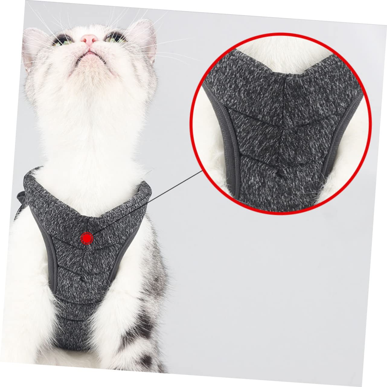 Sosoport 3 Pièces Gilet pour Animaux De Compagnie Harnais pour Chat Sangle De pour Chat Sangle De pour Animaux De Compagnie Harnais pour pour