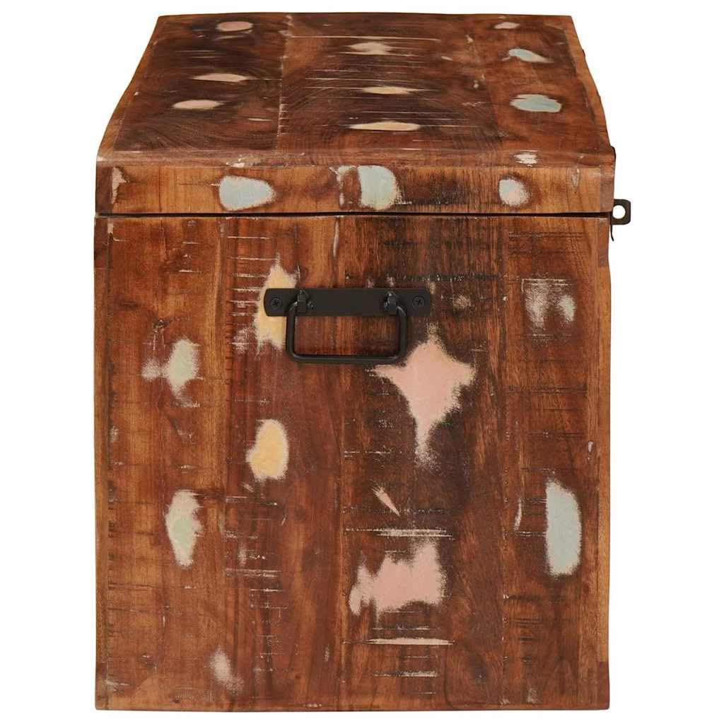 Scatola portaoggetti con porta, in legno massiccio di mango | Design rustico, manici in ferro, ampio spazio, per interni, montaggio richiesto
