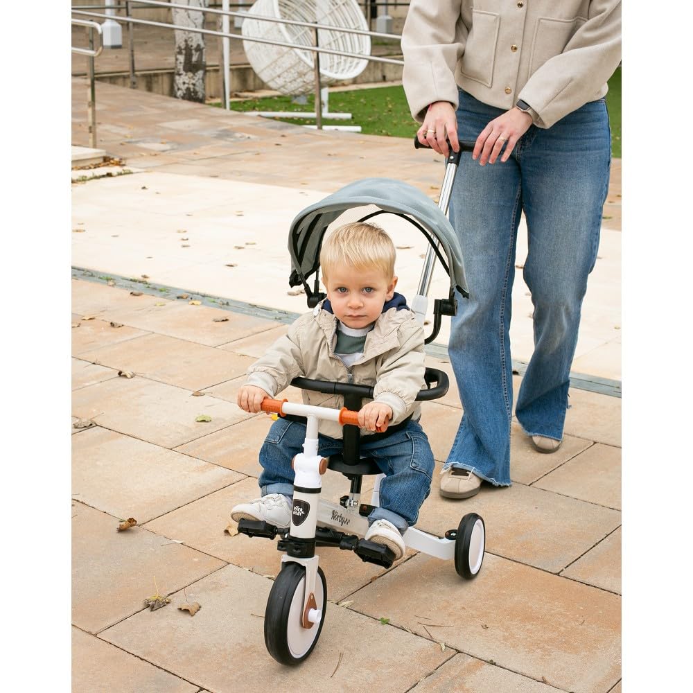 Interbaby Norby: 5 in 1 Dreirad und Laufrad mit Verdeck, 1 bis 5 Jahre