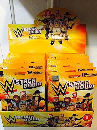 WWE Wrestling C3 Construction WWE StackDown Series 1 Mystery Pack (Bridge Direct)