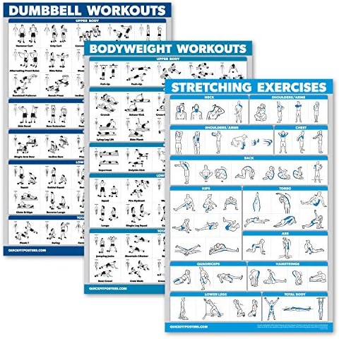 QuickFit Workout Poster Set by Palace Learning Cover