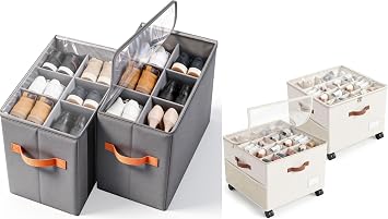 GLORIEROO Smell Proof Shoe Organizer for Closet 2 Packs