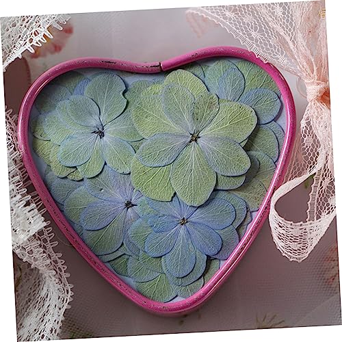 30 piezas de flores secas Double Hydrangea pastel miniatura 4
