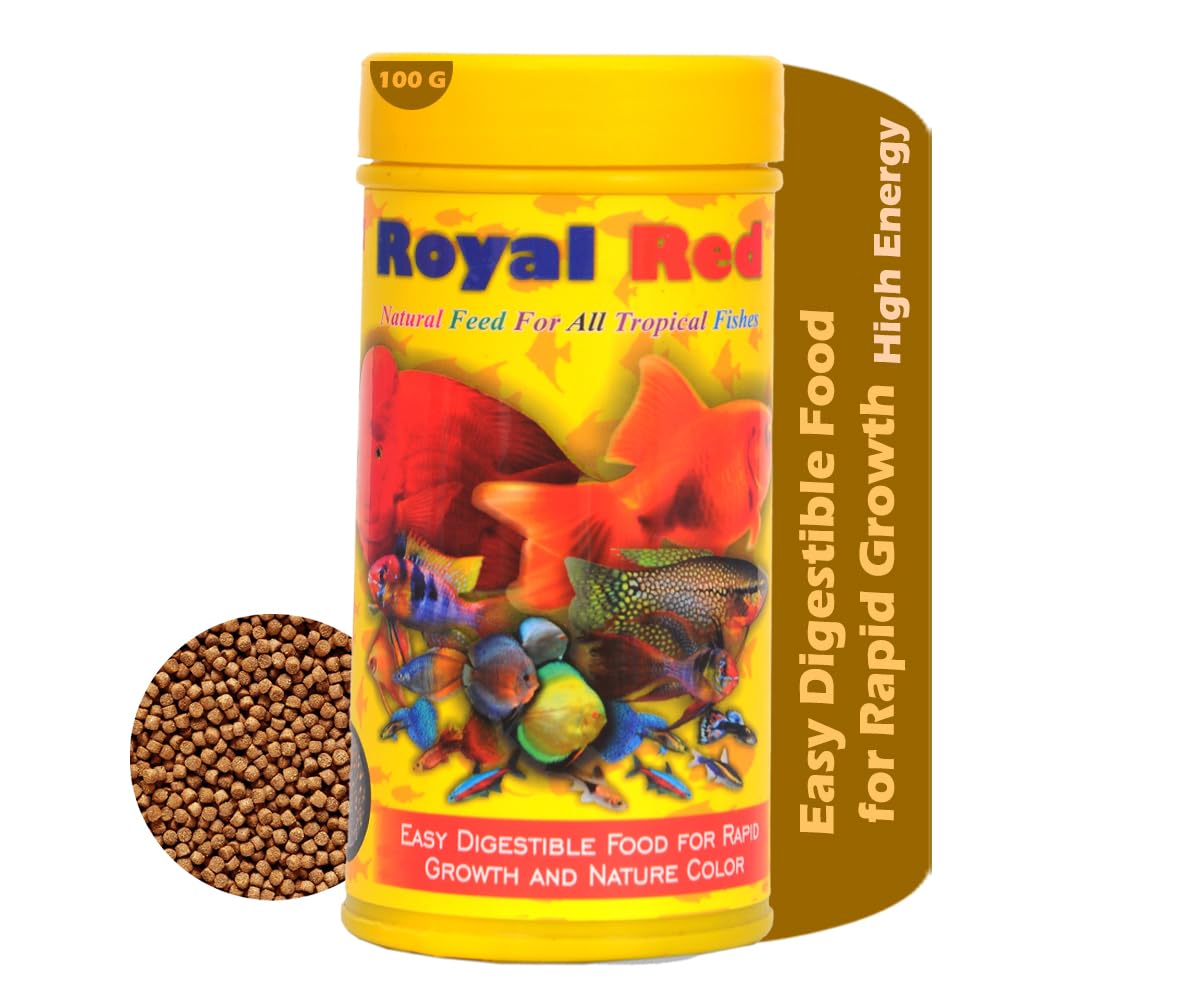 STAR FARMS Royal Red Natural Feed for All Tropical Fishes 100Grams / Easy DIGESTIBLE Food for Rapid Growth and Nature Color (B0BG87WL6M) Amazon Price History, Amazon Price Tracker
