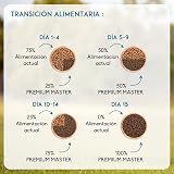 Ver la foto 5
