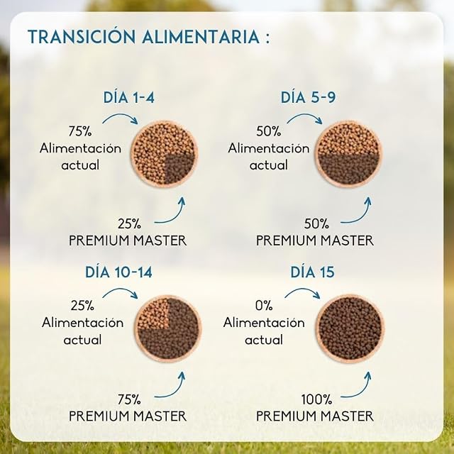 Foto 5 de 7 de NUTRIVET - Premium Master Maintenance - Alimento para Perros Adultos con Actividad Normal - Pollo y arroz
