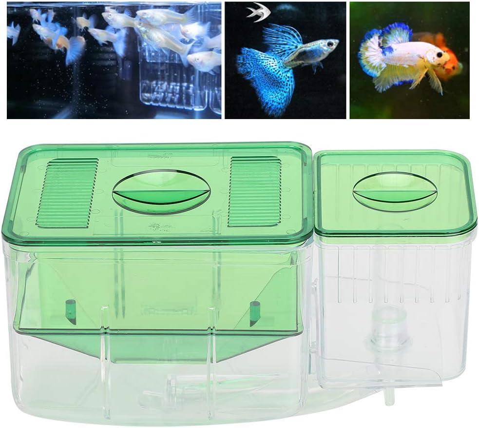 Fish Breeding Box, Transparent Isolation Box Acclimation Hatchery Incubator for Baby Fish Betta Shrimp Clownfish and Guppy