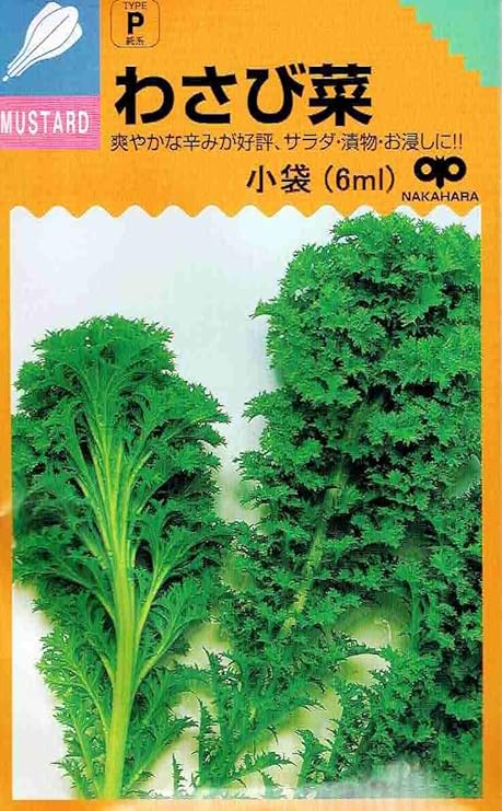 Amazon 種子 わさび菜 野菜 Amazon 種子 わさび菜 野菜