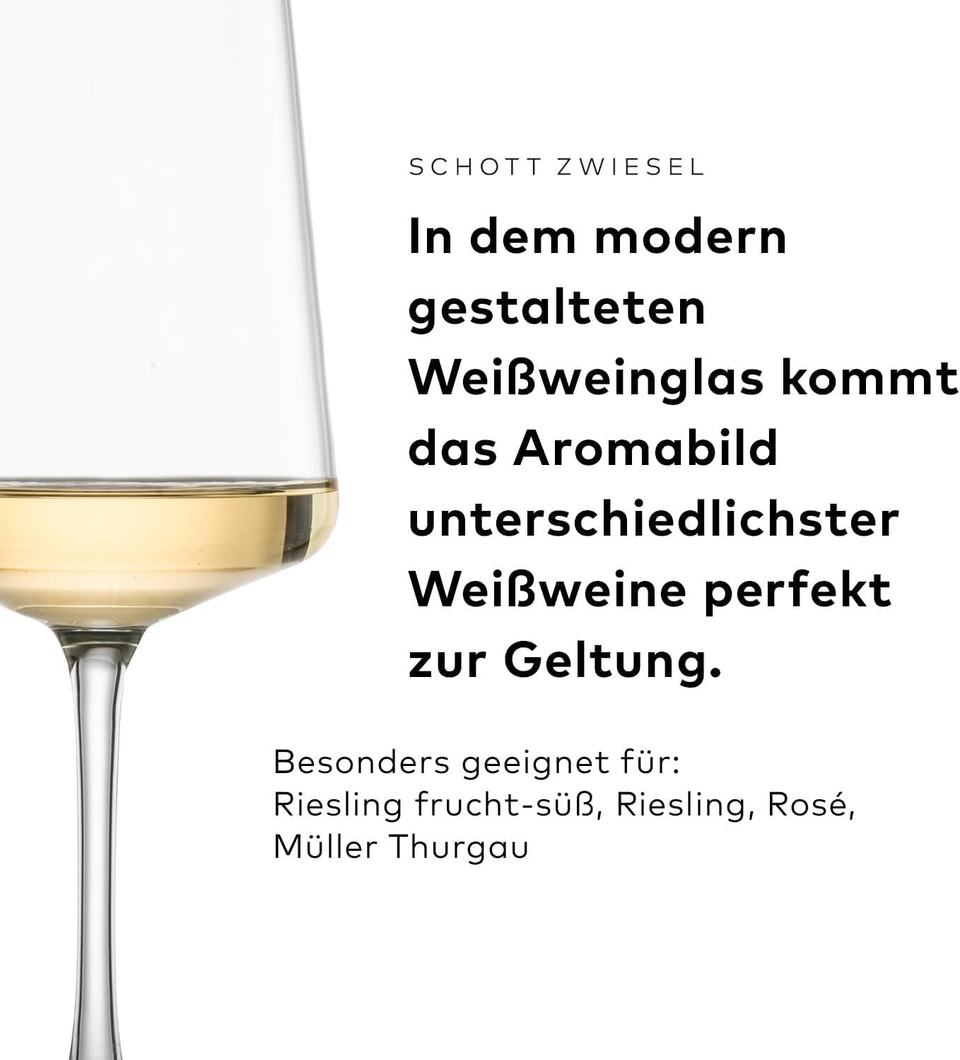 SCHOTT ZWIESEL Gläserset MioVino (12er-Starterset), moderne Weingläser und Sektgläser im Set, spülmaschinenfeste Tritan-Kristallgläser, Made in Germany (Art.-Nr. 124072)