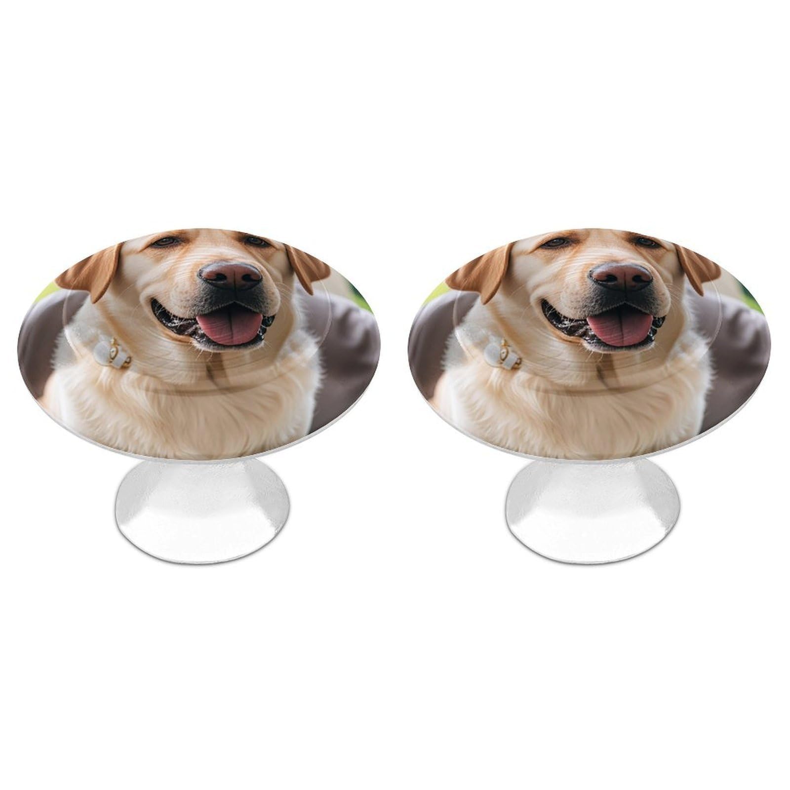 FekiLoot Cute Labrador Dog Cabinet Knob 2 Pack Mini Round Drawer Pulls Stainless Steel Dresser Drawer Knobs Kitchen Drawer Hardware for Bathroom Dresser Closet Door Knobs