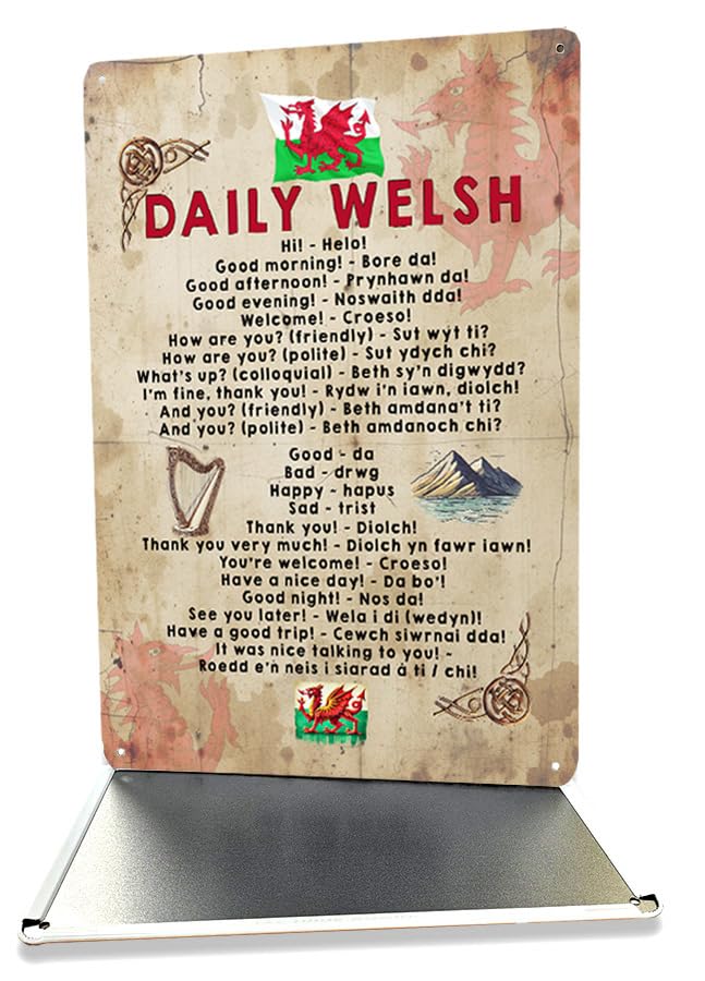 Welsh Dragon Metal Wall Sign, Rustic Vintage Style, Red Dragon Flag & Keep Calm I'm Welsh, Welsh gift idea (Daily Welsh)