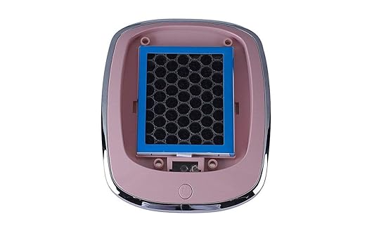 MYSWA Zepst Universal Compact Box Shaped Three Stage Air Purifier with Built-in Ionizer for All Cars (Rosegold)