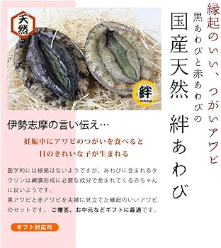 国産天然アワビのディストーション 国産天然アワビのディストーション