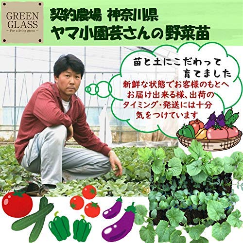 【発送通知付き】 キャベツ農家になろう！　ギャイア3枚　 ロマネアース　4枚 発送通知付き】 キャベツ農家になろう！ ギャイア3枚 ロマネ