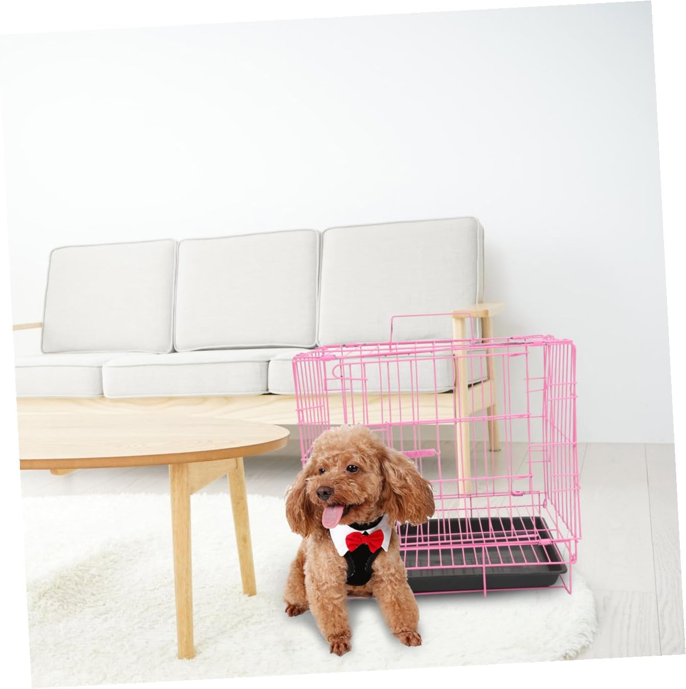 BESPORTBLE Foldable Dog Crate for Medium Small Dogs Steel Pet Cage with Handle Indoor/Outdoor Rabbit