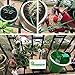 Yardeen Micro Automatic Drip Irrigation Kit Self Watering System Sprinkler Controller for Indoor Potted Plants Color Green