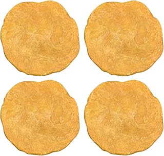 4pcs Nummulites Fossil Adornment Practical Useful Portable Fossils Sample Fossil Specimen Simulation Fossil Model