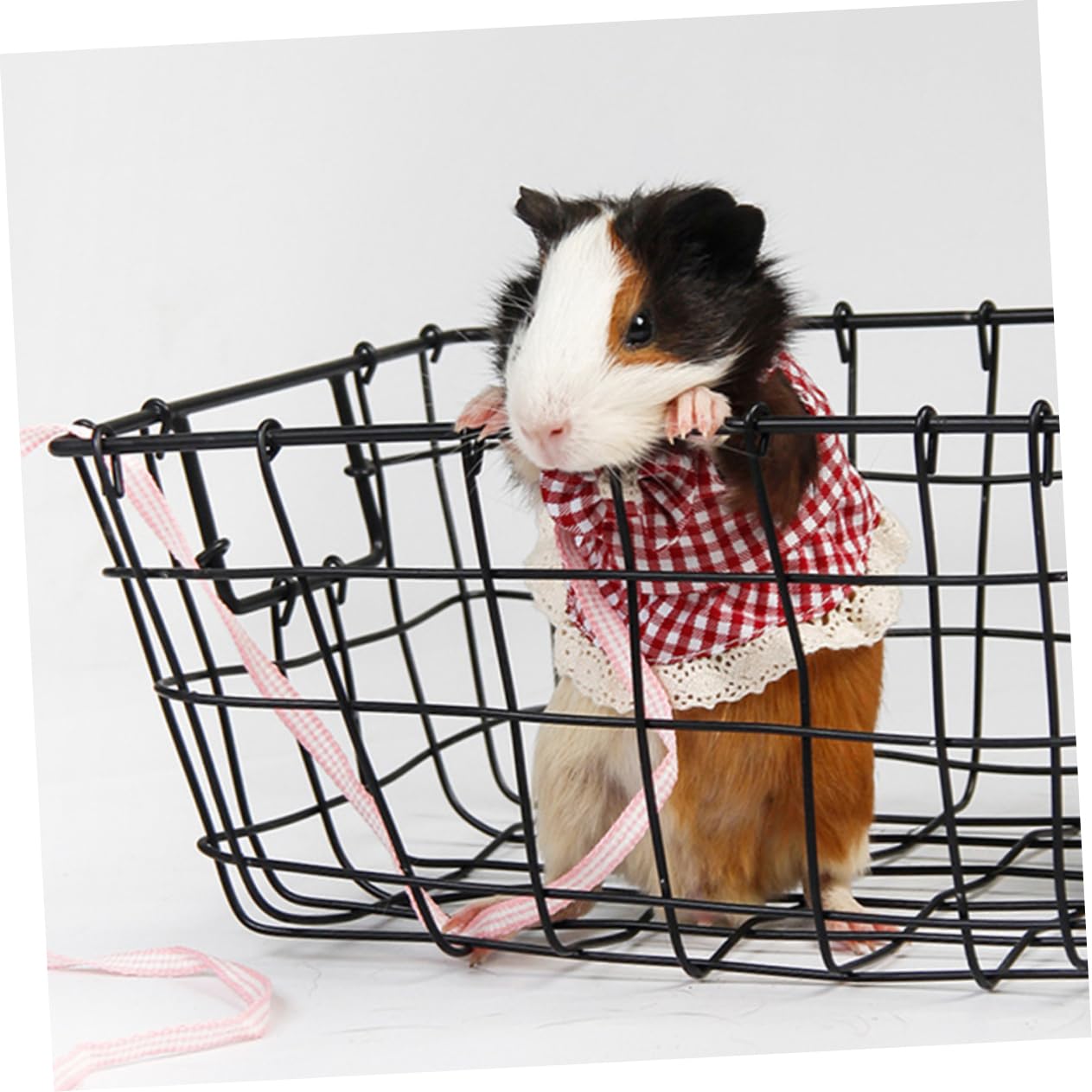 Kisangel 3 Pièces Petit Harnais pour Animaux De Compagnie Harnais De Lapin De Lapin Corde De Traction Corde De Remorquage Weasypet Kit Ceinture De Laisse De