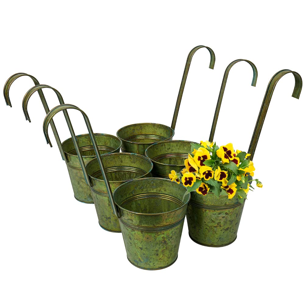 Maceteros Colgantes Exterior Maceteros Colgantes Zubebe Paquete De 20 De  Hierro De Metal Para Balcón, Barandilla De Balcón, Macetas Con Gancho  Desmontable, Grandes, Macetas Rústicas Para Jardín Interior Y Exterior  Macetas Colgantes, image size:1001x1001