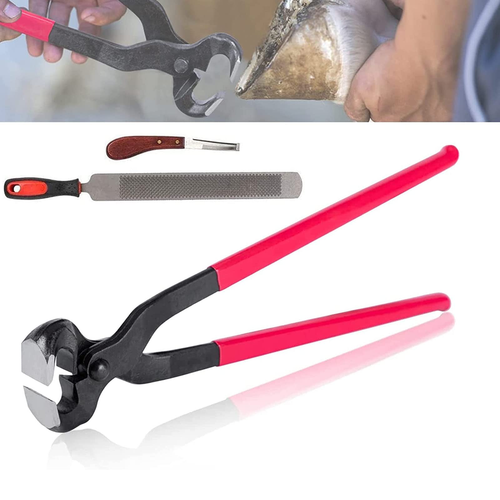 Kit De Herramientas para Recortar Cascos De Caballos, Tijeras De Metal De 14'' para Recortar Cascos De Caballos, Cortador De Cascos De Herradores Equinos con Herramienta,